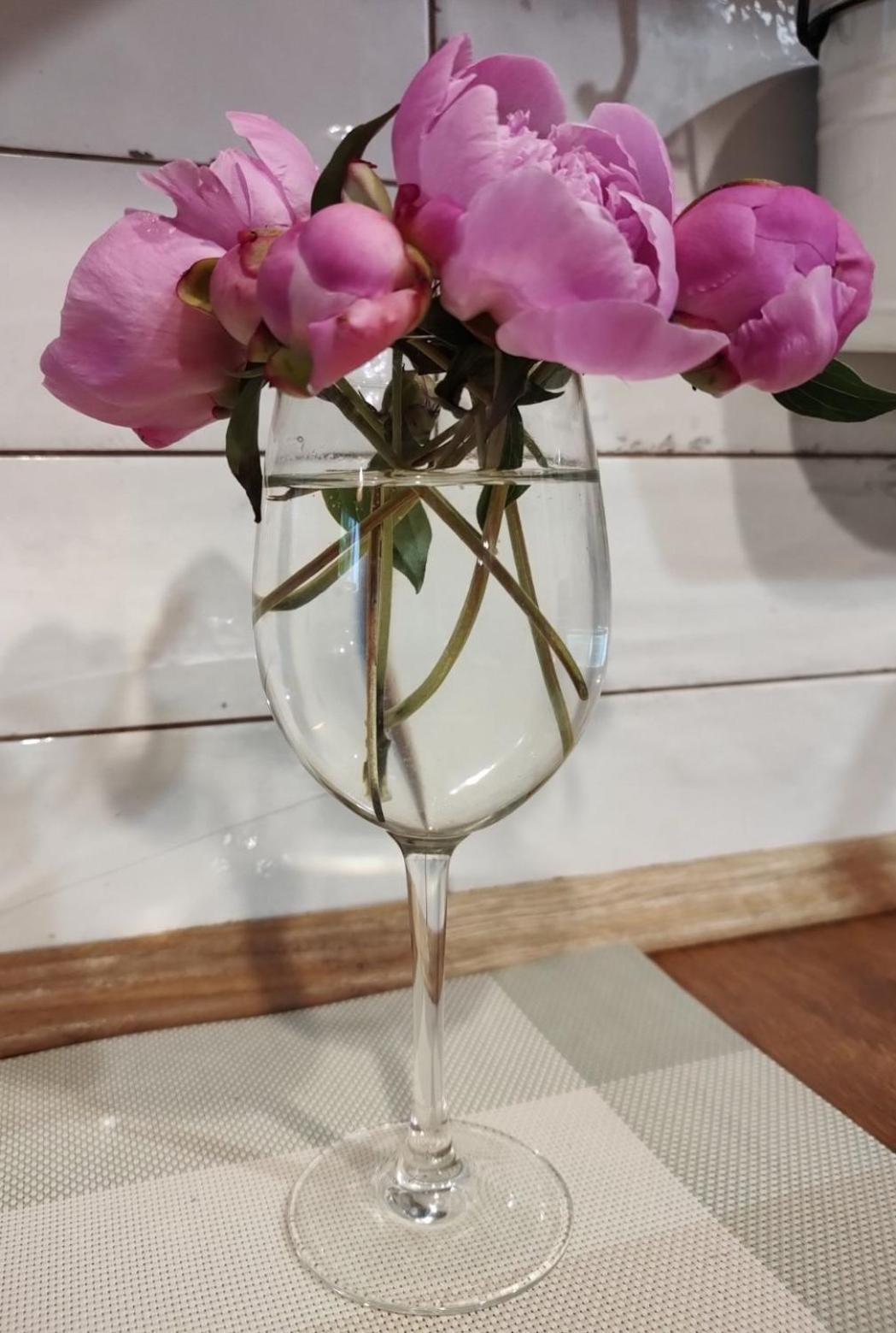 Appartement Мури Старого Львова Extérieur photo
